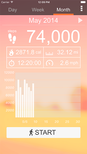 Pedometer