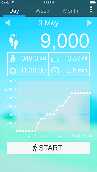 Pedometer